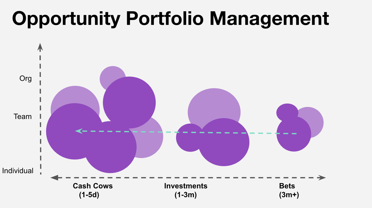 Opportunity Portfolio Management